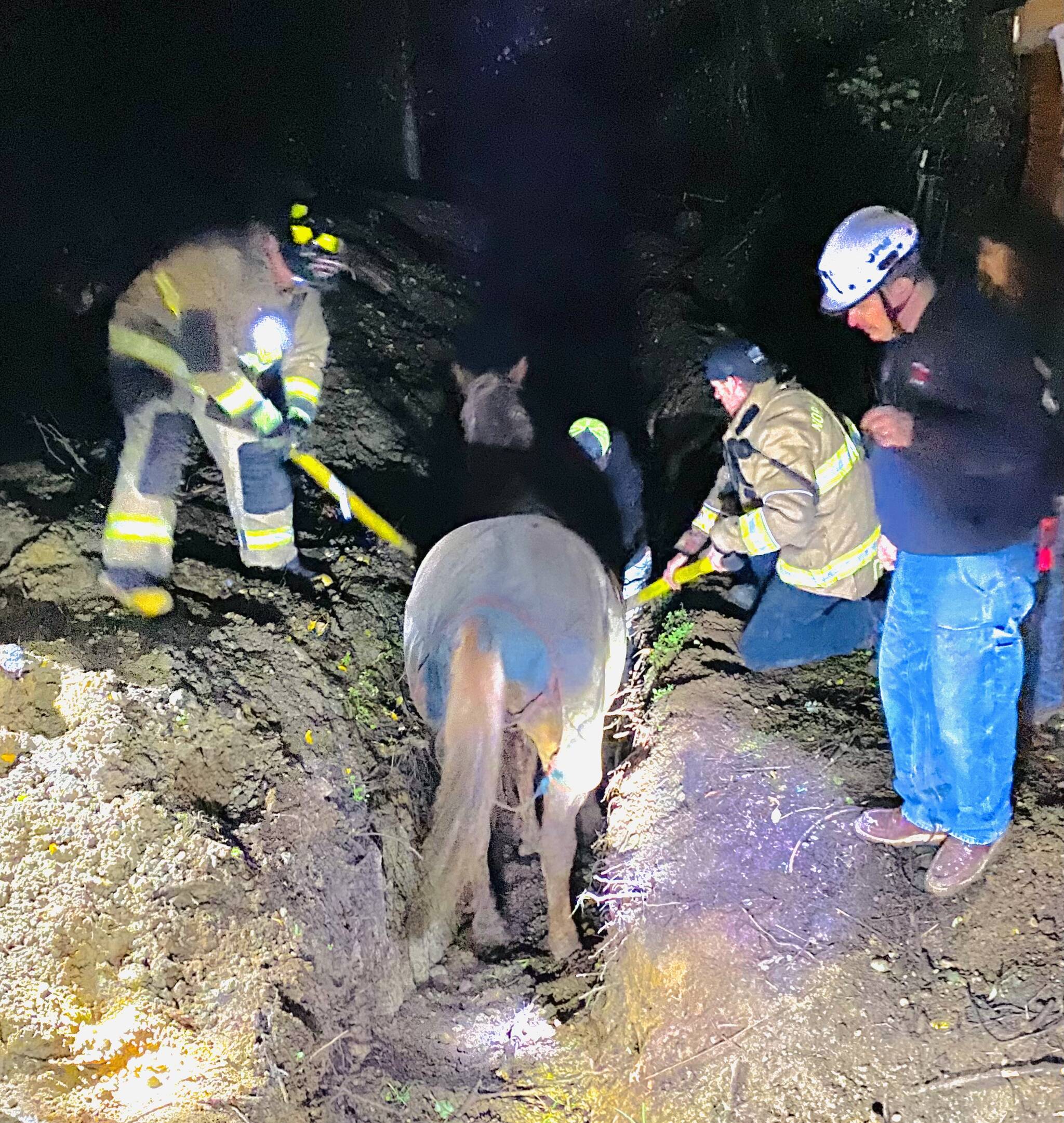 Photo provided
Responders from North Whidbey Fire and Rescue and the Navy rescue 24-year-old Ruby from a trench Nov. 11.
