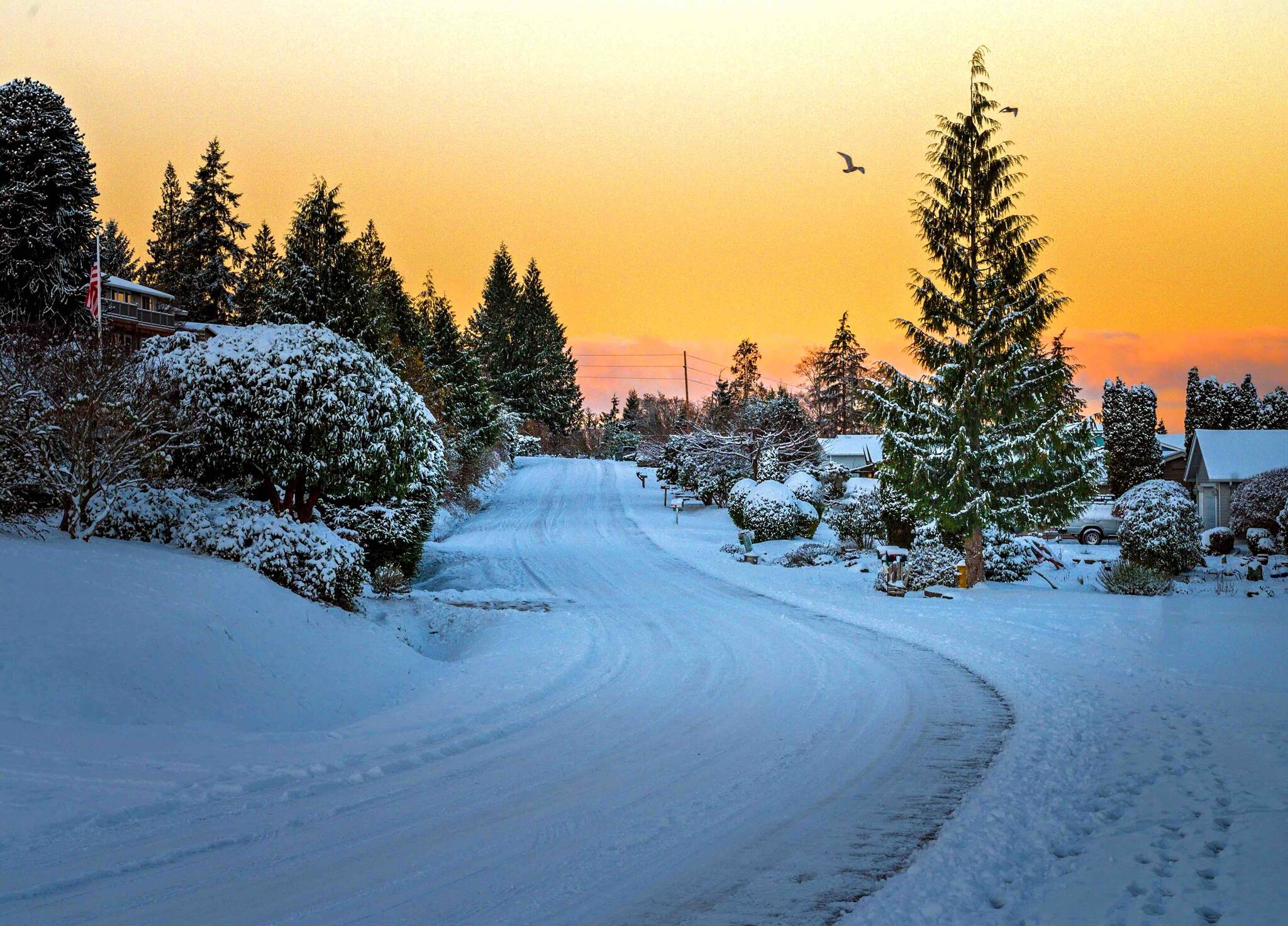 Photo by Pam Headridge
<em>Snow covers a North Whidbey road at sunrise.</em>