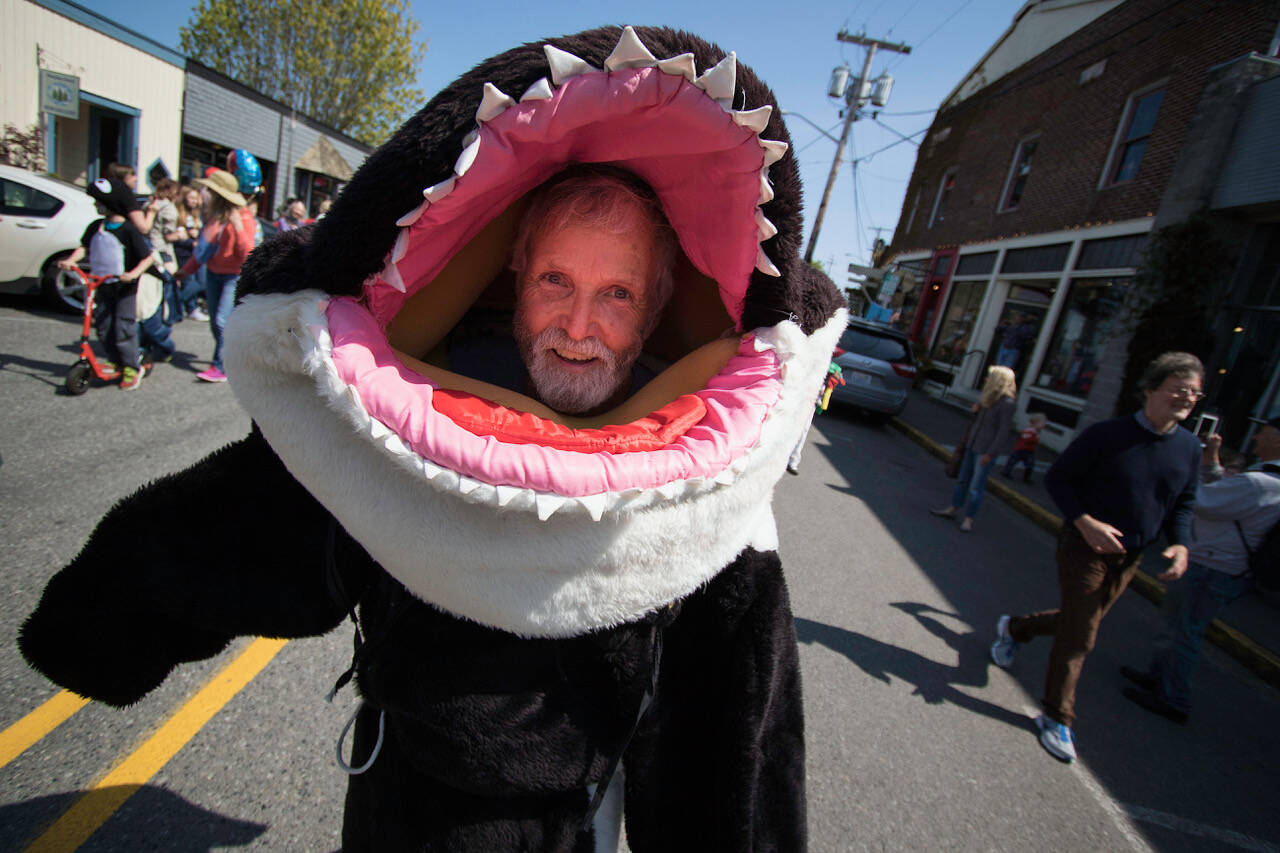 Photo by David Welton
Howard Garrett, co-founder of the Orca Network, donned an orca costume at a previous Welcome the Whales parade.