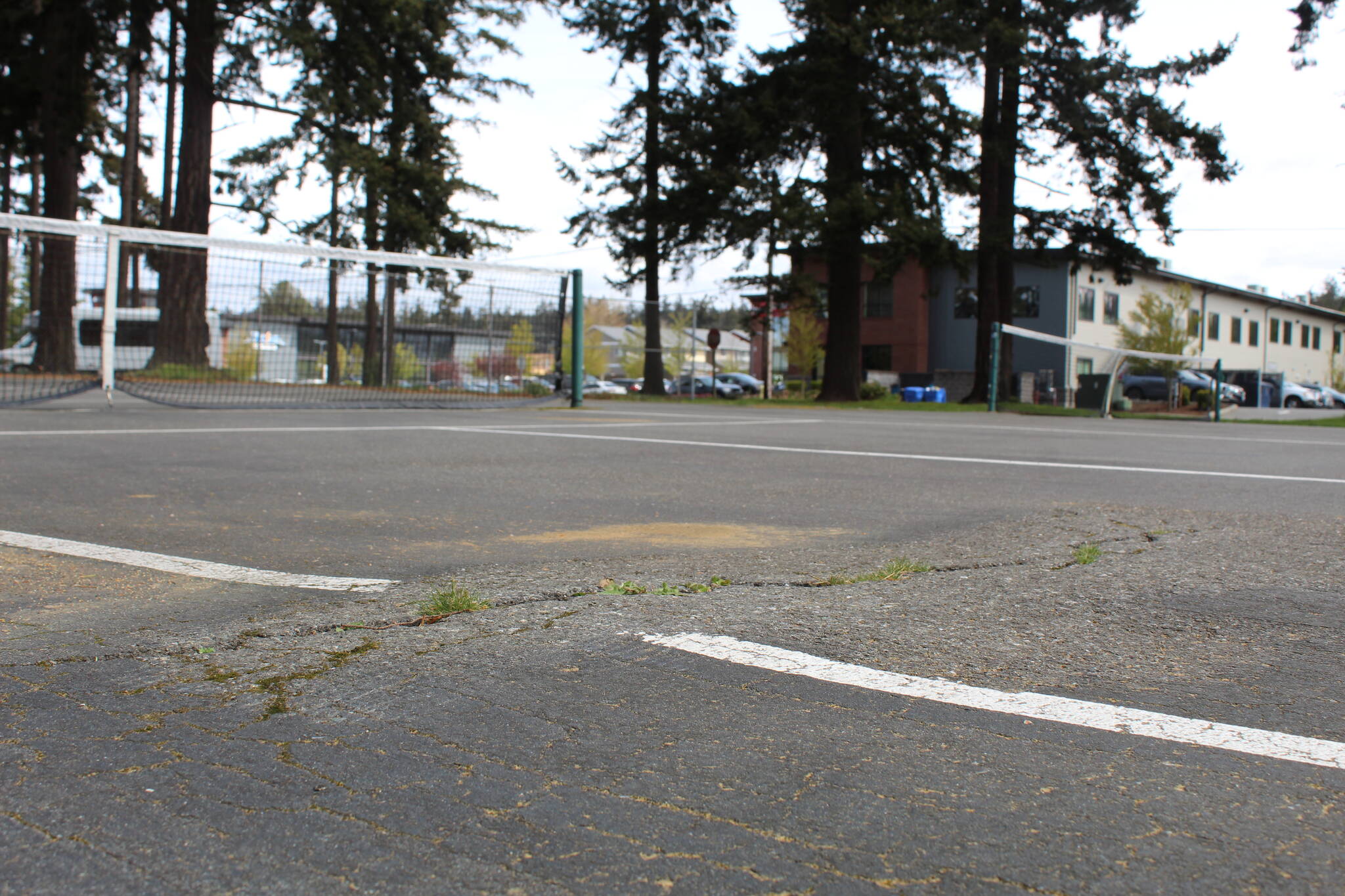 Photo by Karina Andrew/Whidbey News-Times
Root intrusions have caused some areas of the pickleball courts at Rotary Park to become uneven. These will be repaired when two new courts are added to the park.
