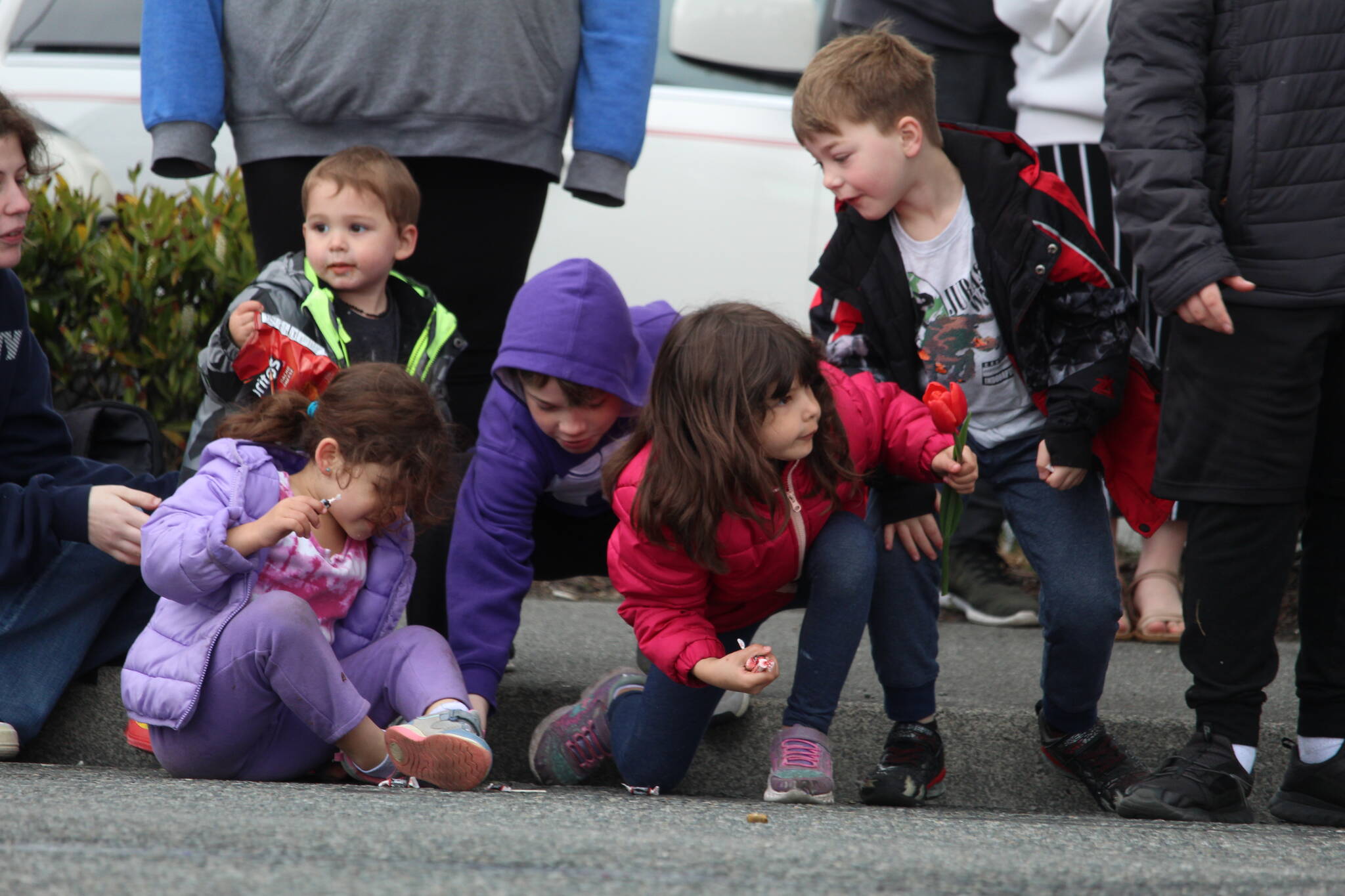 Kids scramble for candy thrown by parade participants. (Photo by Karina Andrew/Whidbey News-Times)