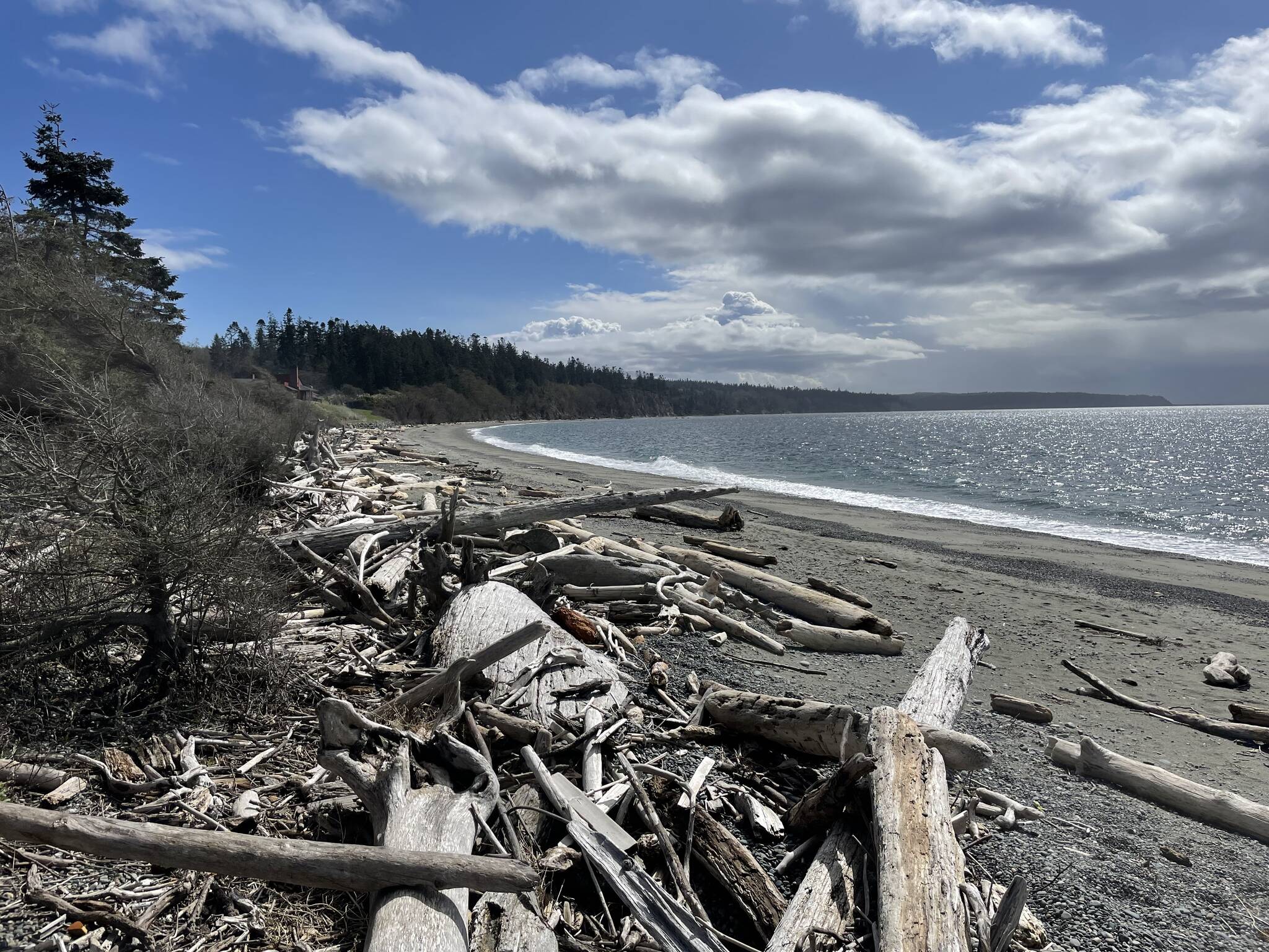 Whidbey Camano Land Trust photo
This beach on Admiralty Bay near the Coupeville ferry will soon be publicly accessible, as the Whidbey Camano Land Trust recently purchased the property for preservation.