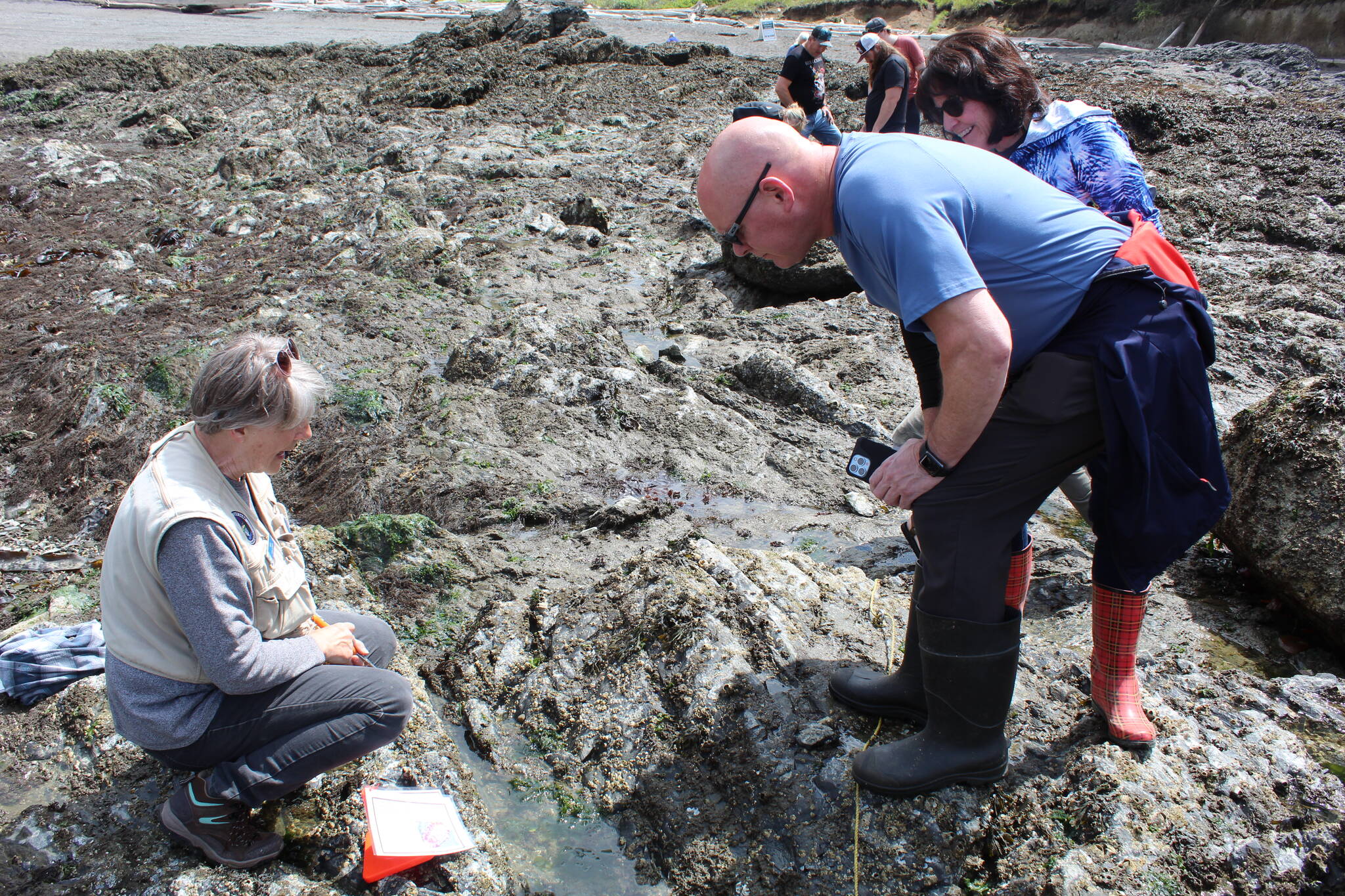 Deception Pass State Park volunteer Nan Maysen, left, points out a lined chiton to Rosario Beach visitors during low tide on Thursday. (Photo by Karina Andrew/Whidbey News-Times)