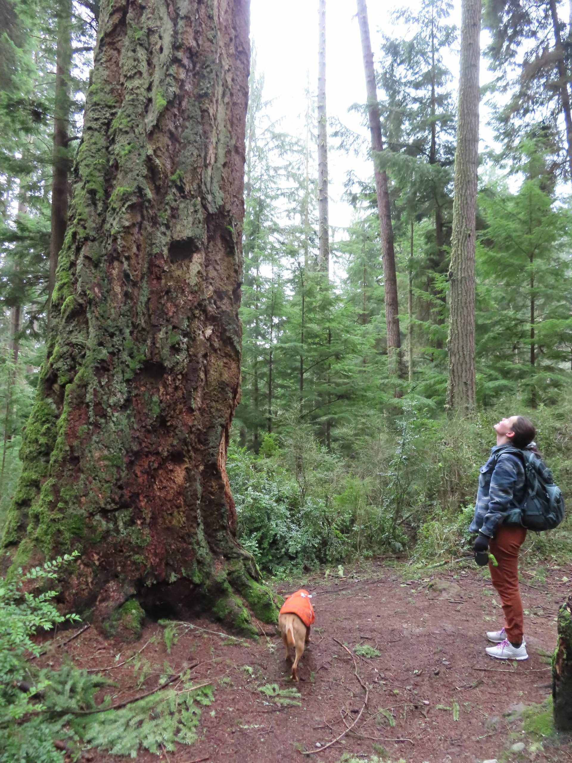 Laura Hilton hikes in Dugualla State Park, one of 24 lesser-known Island County destinations featured in Whidbey and Camano Islands Tourism’s new field guide. (Photo by Laura Hilton)
