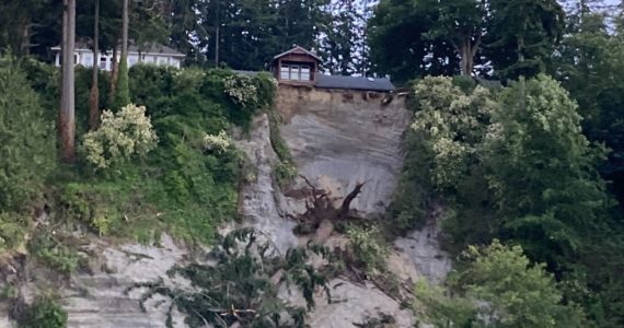 Photo submitted
A landslide on a bluff near Langley took out some trees.