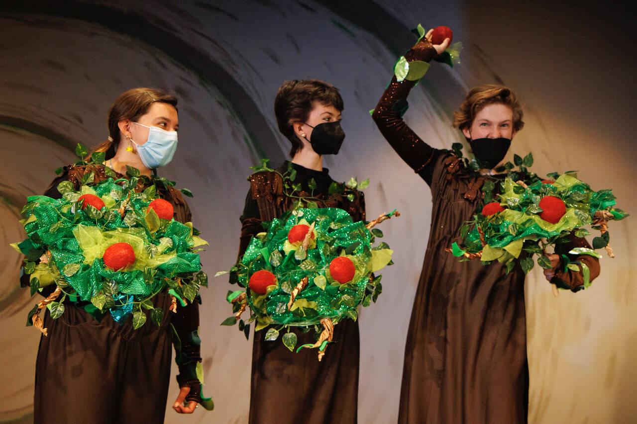 From left to right, Lily Cerda, 13, Anja Bentsen, 13, and Irene Stewart, 14, play the apple trees in “The Wizard of Oz.”