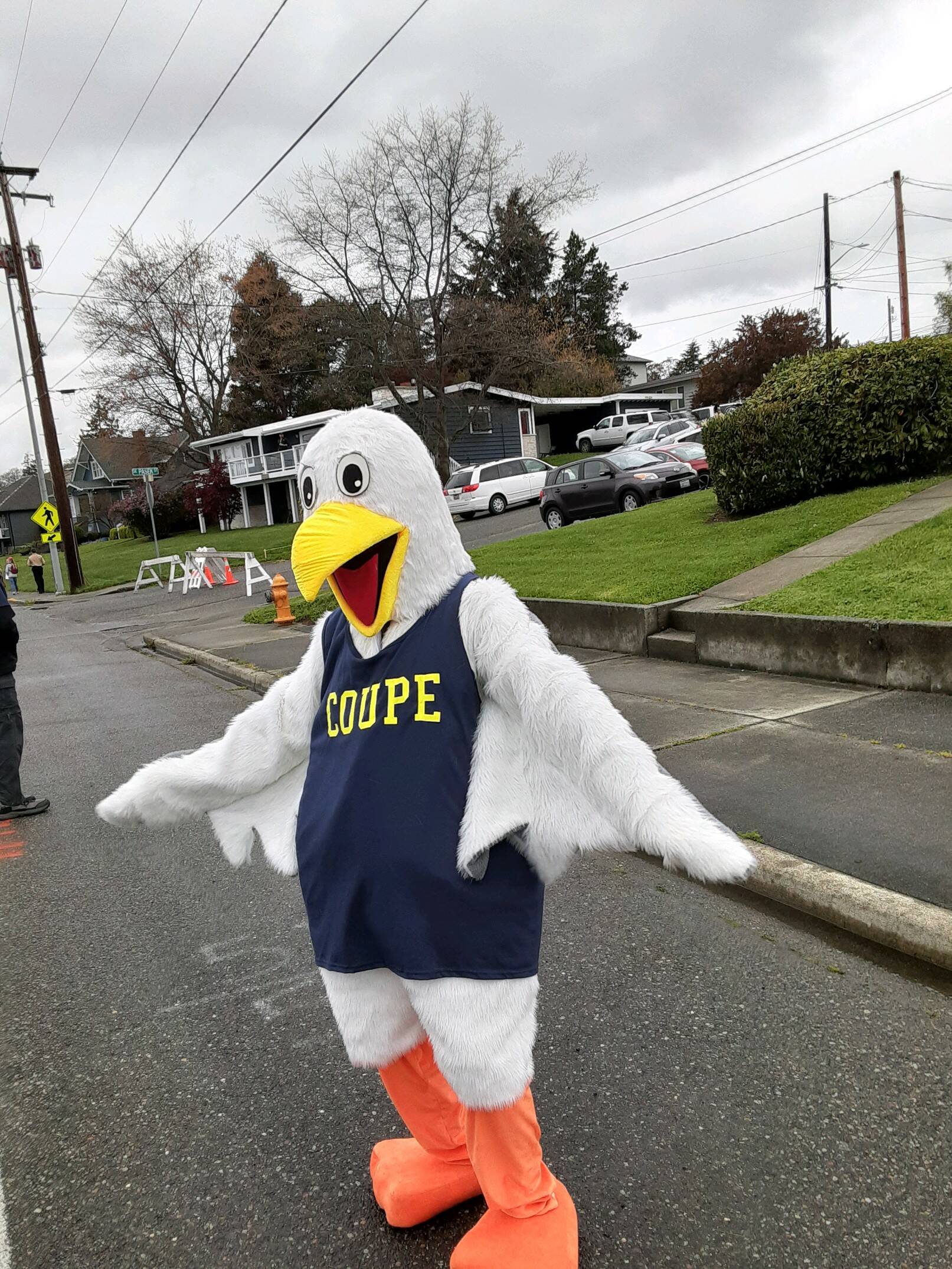 Coupe the seagull will make his debut appearance this year at the Coupeville Arts and Crafts Festival. (Photo provided)