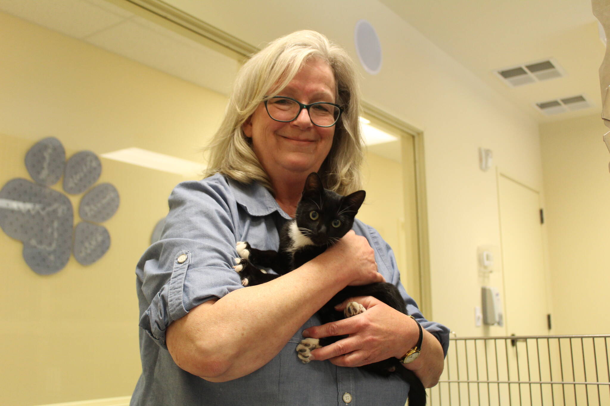 Photo by Karina Andrew/Whidbey News-Times
Shari Bibich snuggles a kitten living at the animal shelter, one of more than 20 cats currently up for adoption at WAIF.