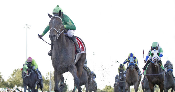 Slew's Tiz Whiz, ridden by Jose Zunino, pulls ahead of the other horses at the Longacres Mile. (Photo provided by Emerald Downs)