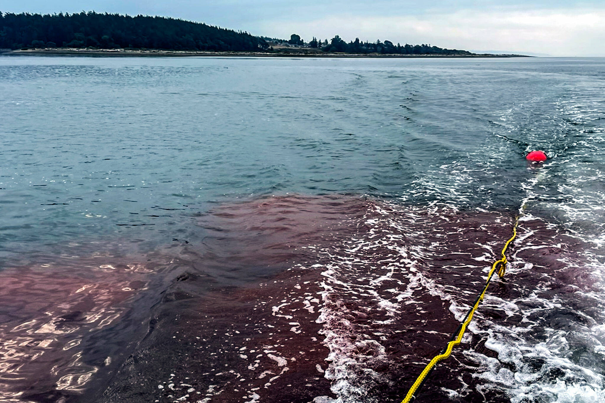 A plume of red dye trails a boat during a study looking at water quality and shellfish health on Sept. 12, in Oak Harbor. (Washington State Department of Health)