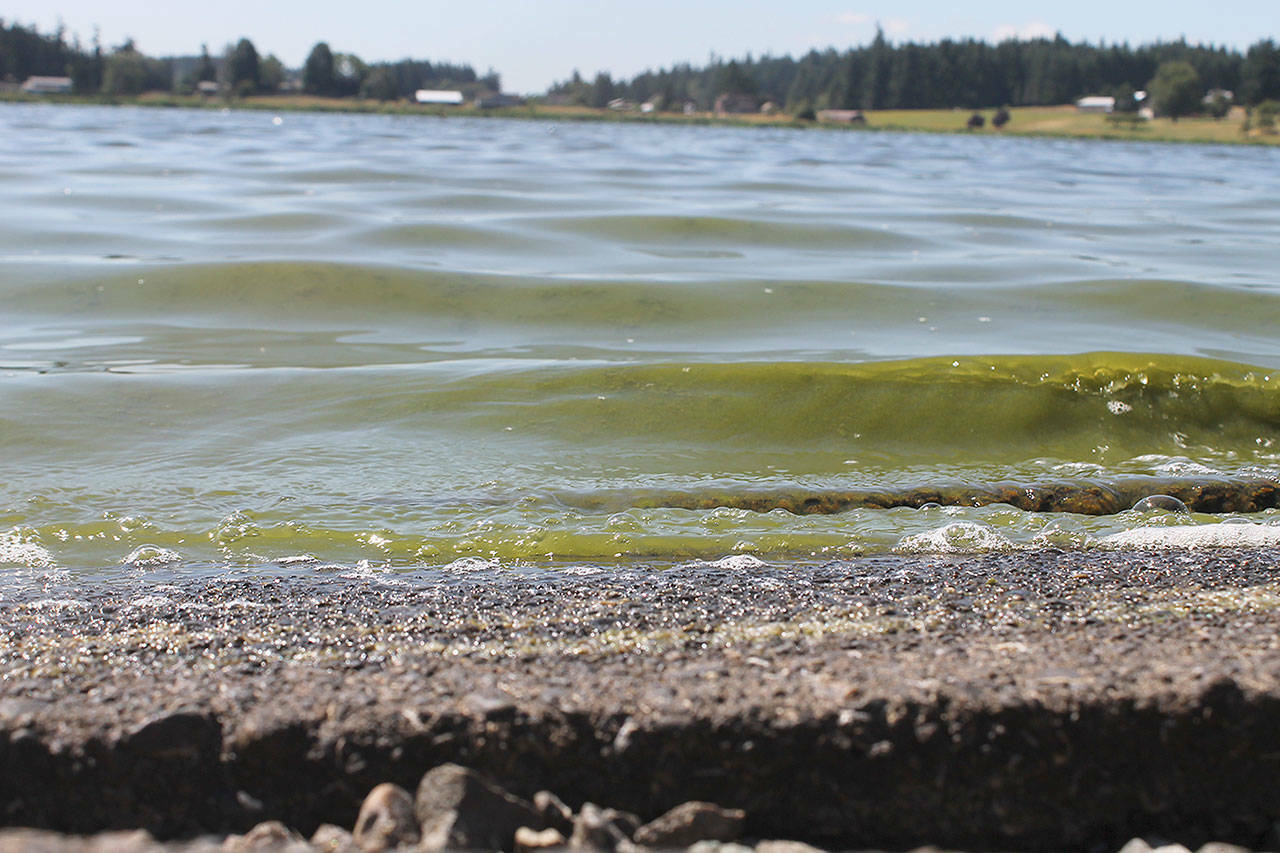 File photo Lone Lake on South Whidbey has a history of water quality problems.
