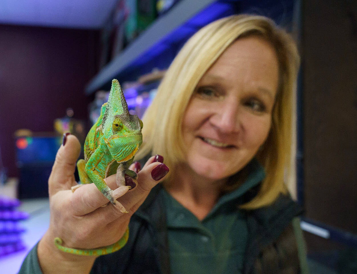 Debbie Wilkie with a chameleon.
