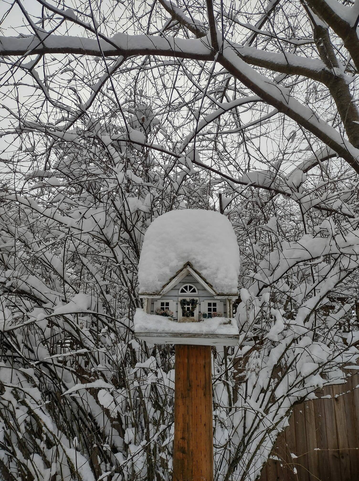 Tonja Oker Sturdevant submitted a photo of a mailbox in the snow.