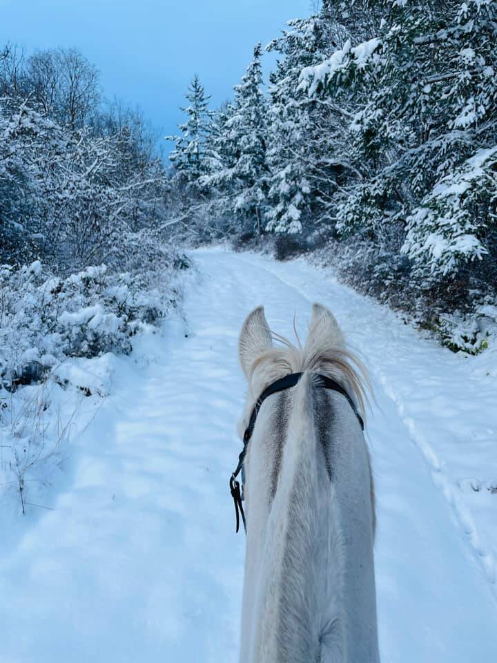 Jessica Aws offered this horseback in the snow photo.