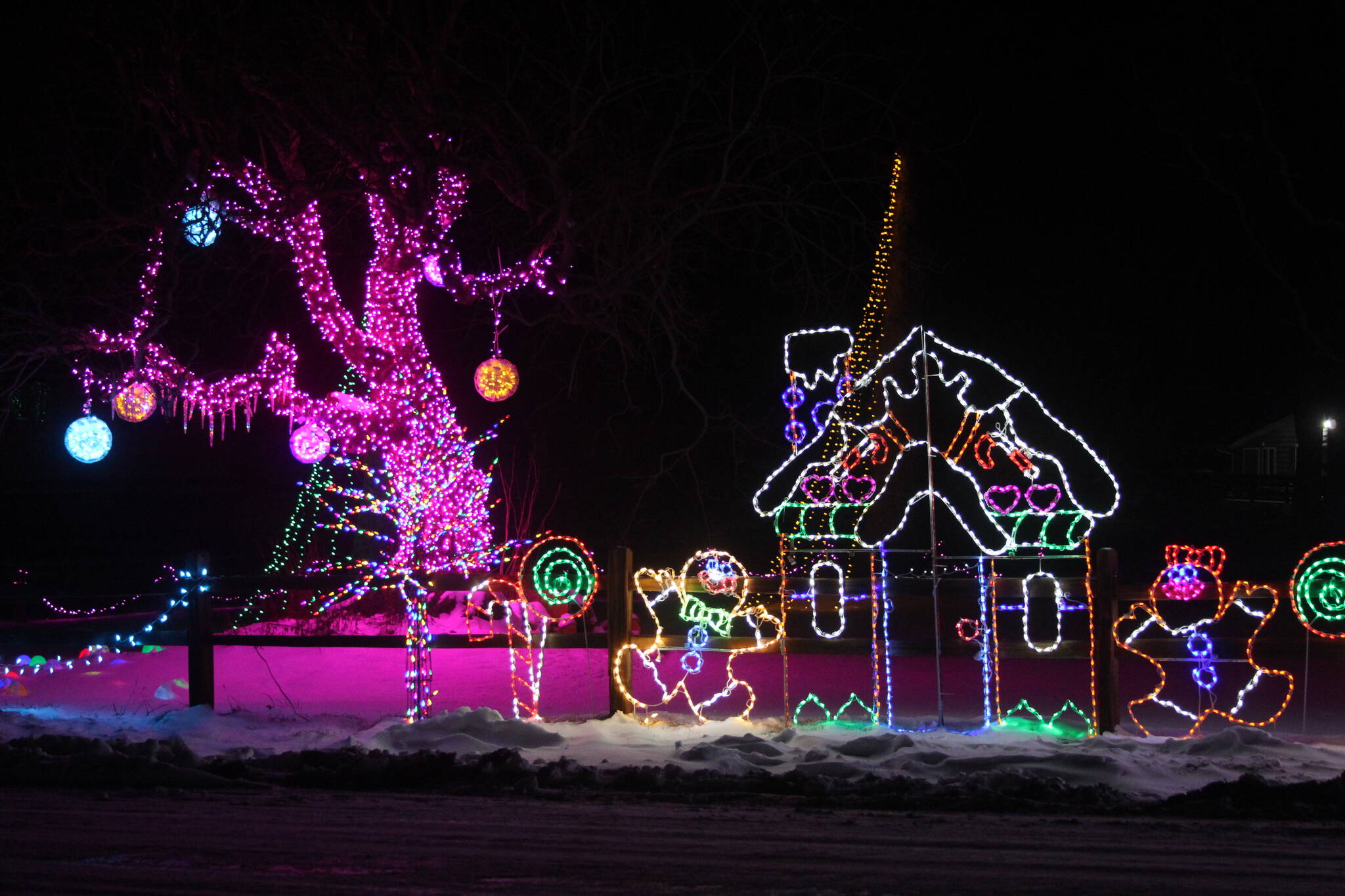 An extravagant light display at the corner of Hastie Lake Road and West Beach Road features a variety of characters, from Christmas classics like Santa Claus, reindeer and gingerbread people to less conventional holiday friends like dinosaurs, sea monsters and orcas. (Photo by Karina Andrew/Whidbey News-Times)