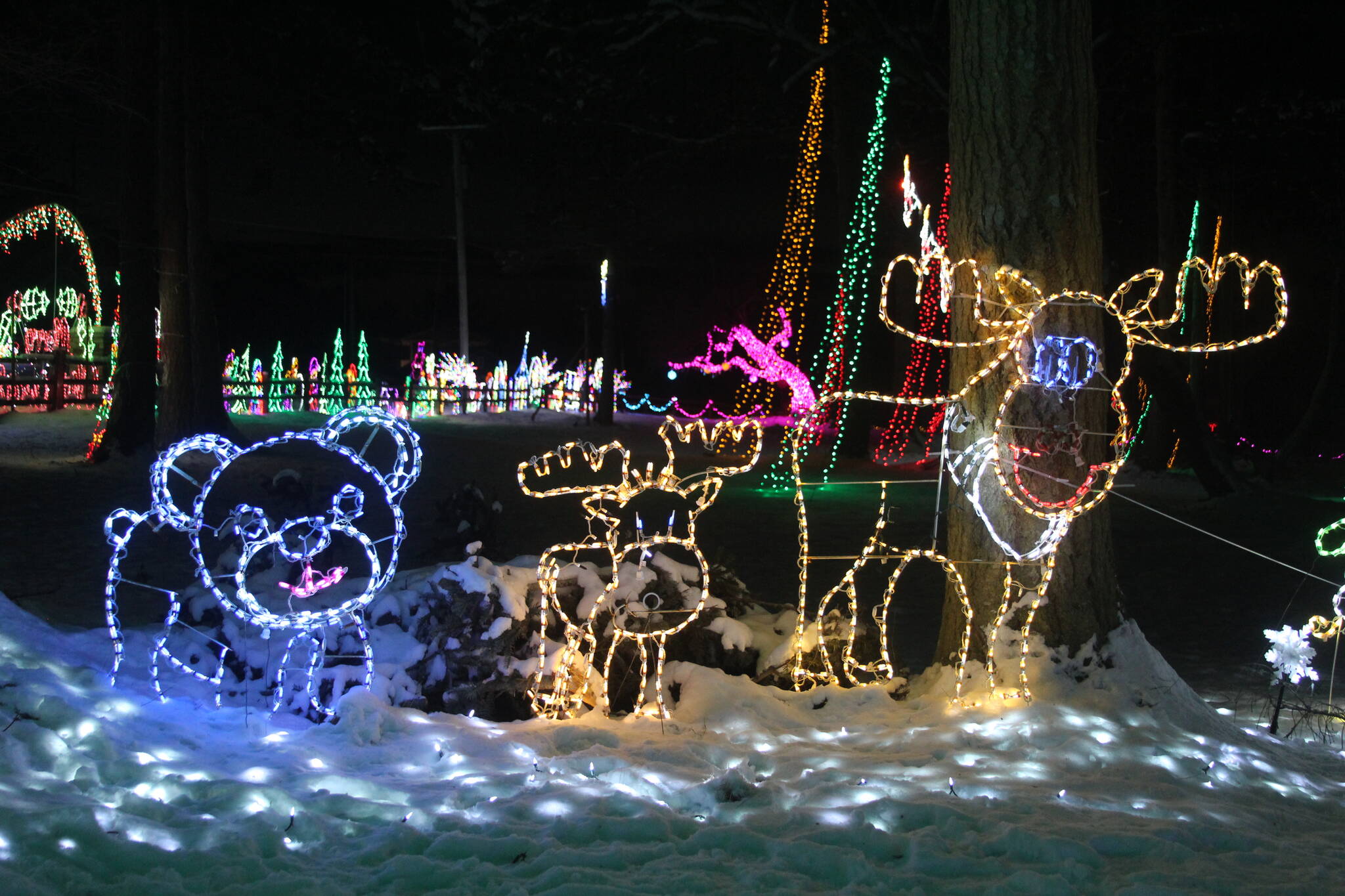 An extravagant light display at the corner of Hastie Lake Road and West Beach Road features a variety of characters, from Christmas classics like Santa Claus, reindeer and gingerbread people to less conventional holiday friends like dinosaurs, sea monsters and orcas. (Photo by Karina Andrew/Whidbey News-Times)