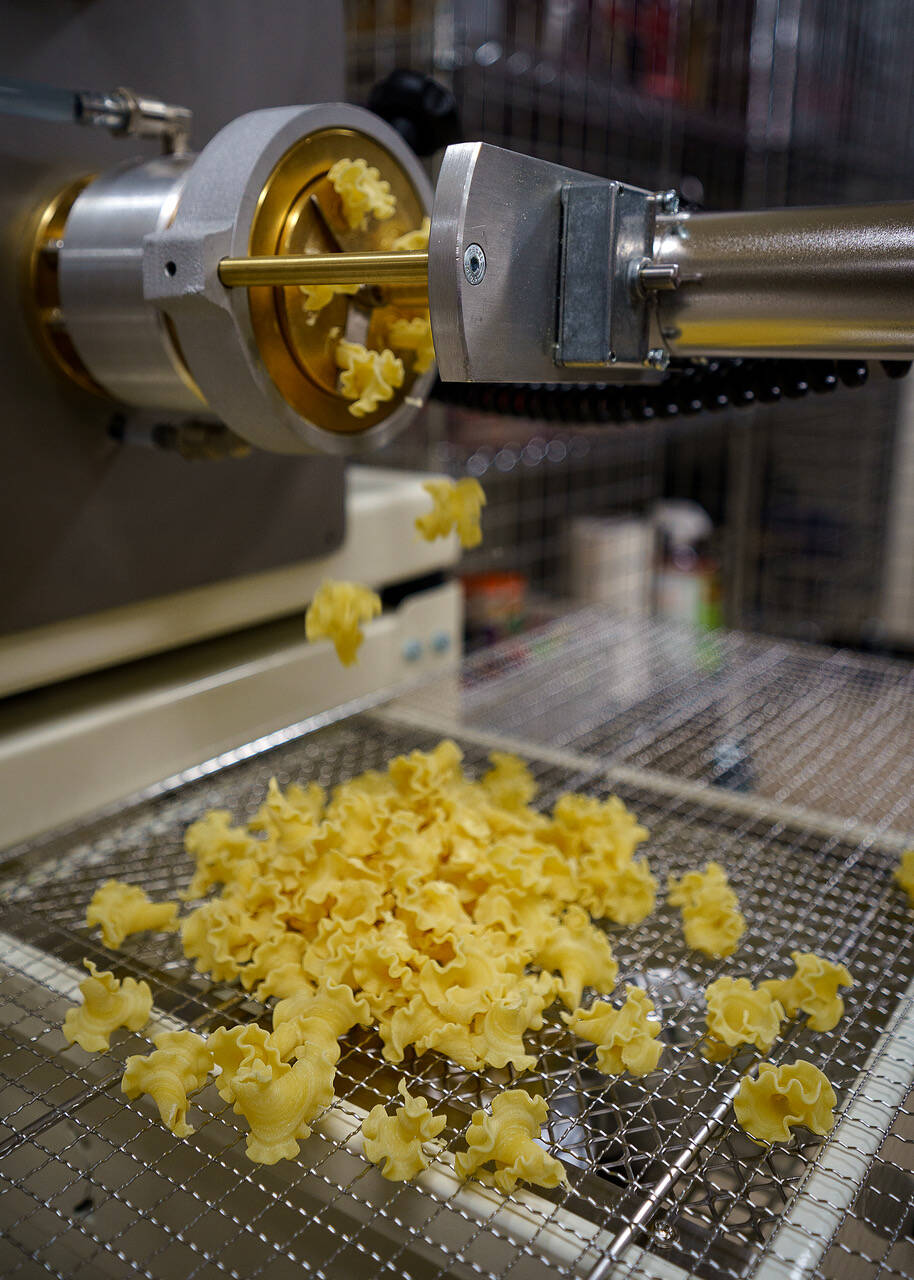 Campanelle pasta is extruded from a machine.