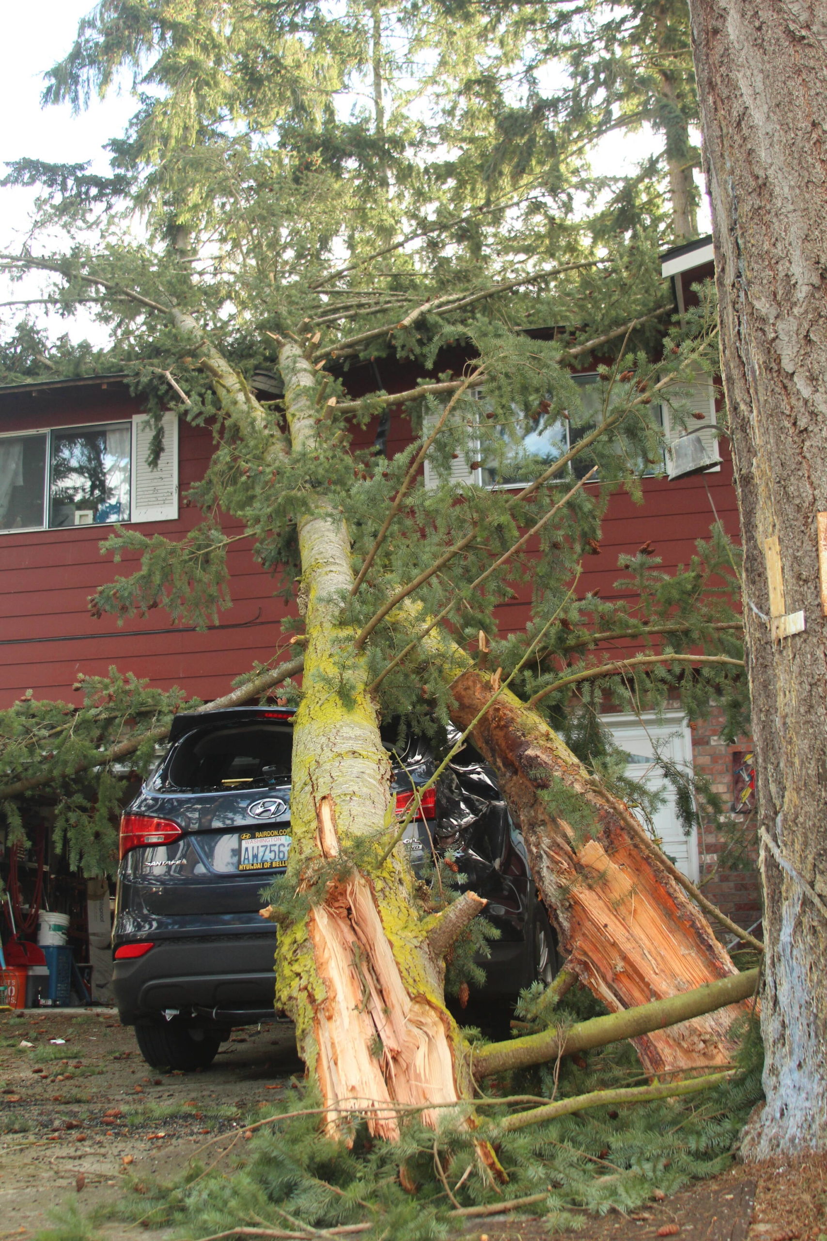 Photo by Karina Andrew/Whidbey News-Times