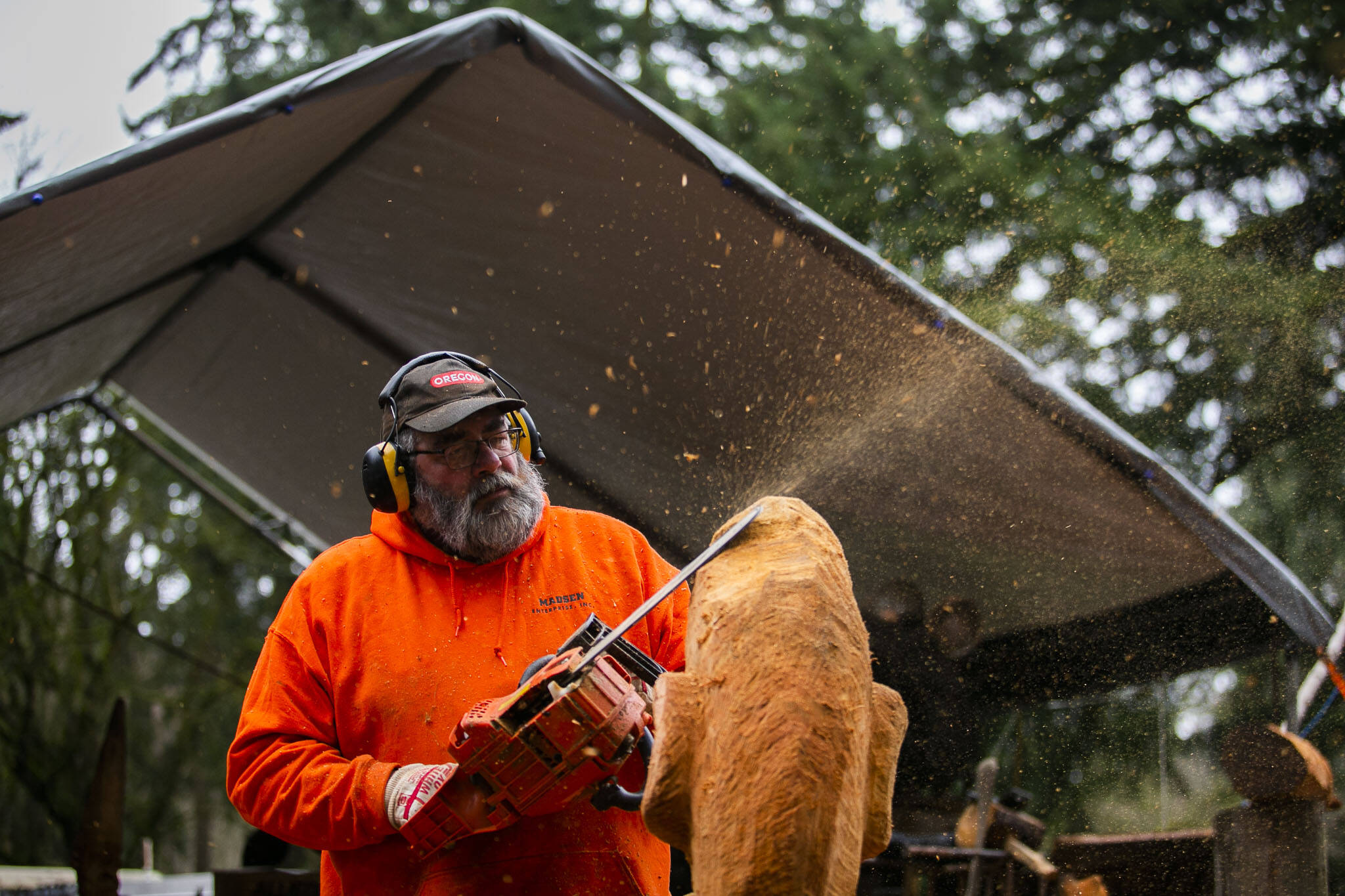 Flakes of wood and sawdust spray in different directions while Steve Backus works on the details of a moon carving. (Olivia Vanni / The Herald)