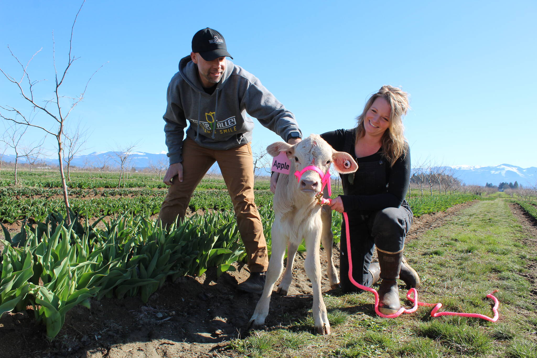 Andrew Miller of Tulip Valley Farms and Shannon Hamilton of Whidbey Farm and Market will collaborate to provide an interactive farm animal experience at this year’s Skagit Valley Tulip Festival. (Photo by Karina Andrew/Whidbey News-Times)