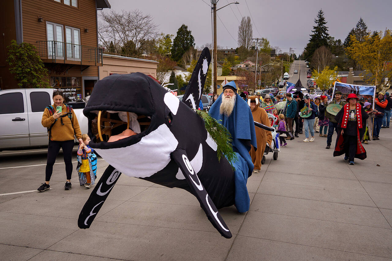 Photos by David Welton
There was no shortage of whale costumes at the parade, including this large and creative one of an orca.