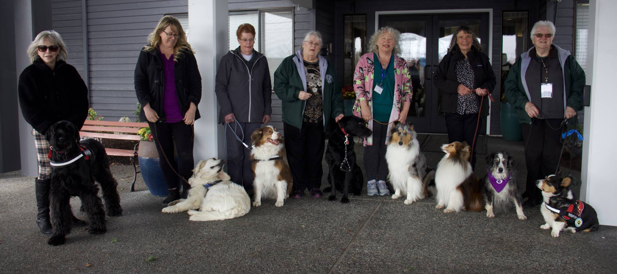 Photos by Rachel Rosen/Whidbey News-Times
From left, Barbara Kruse and Cosmo, Shelley Jackson and Falkor, Susen Dasch and Dillon, Peggy Lavier and Rowdy, Julie Gorveatt and Sonoma, Marilyn Lindsey and Fazer, and Pat Lamont and Rose and Jack.