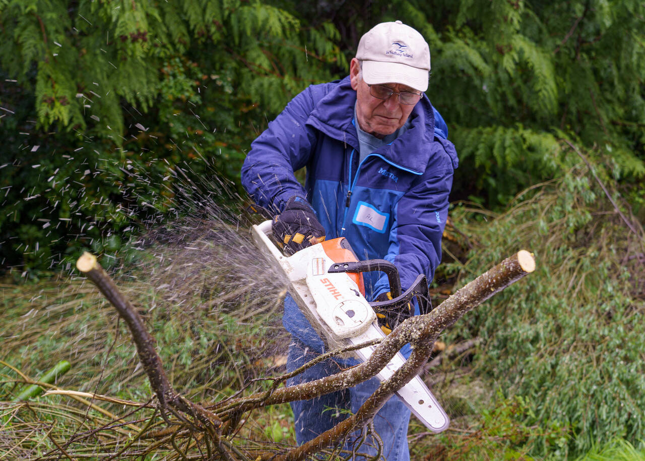 Volunteer Al Wilcox runs a chainsaw at a Freeland work site.