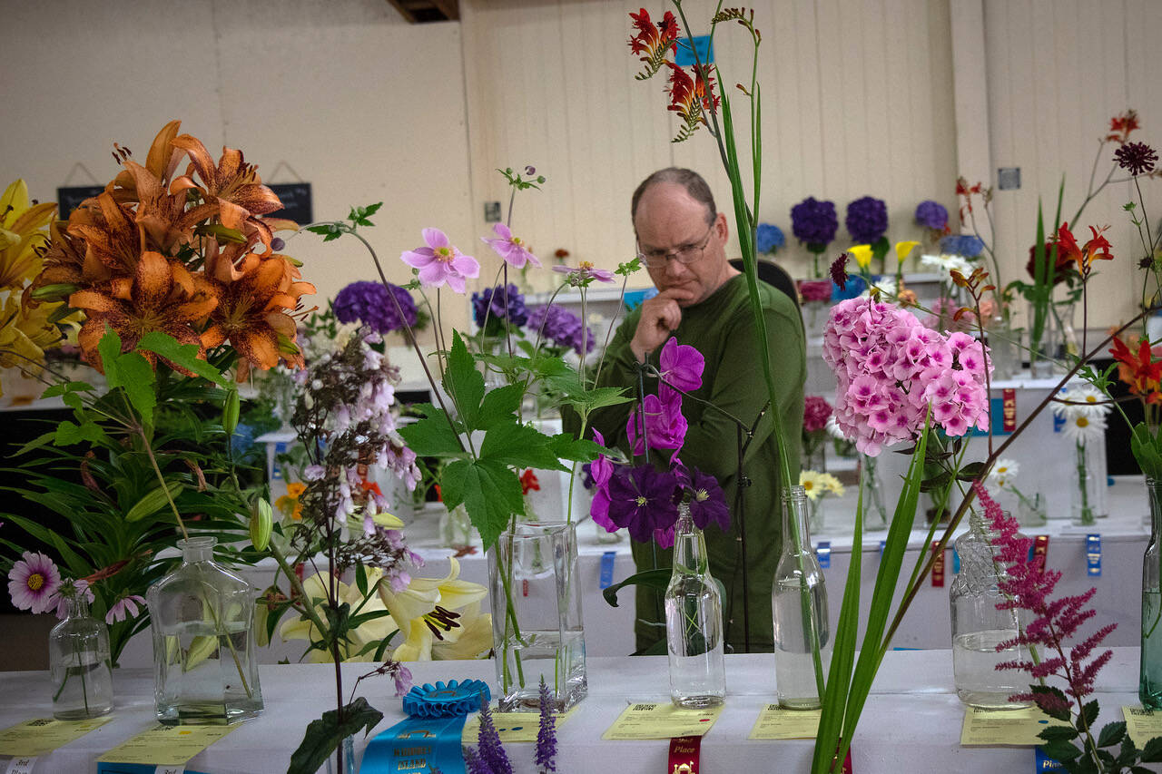 A Whidbey Island Fair visitor admires the floral arrangement section. (Photo by David Welton)