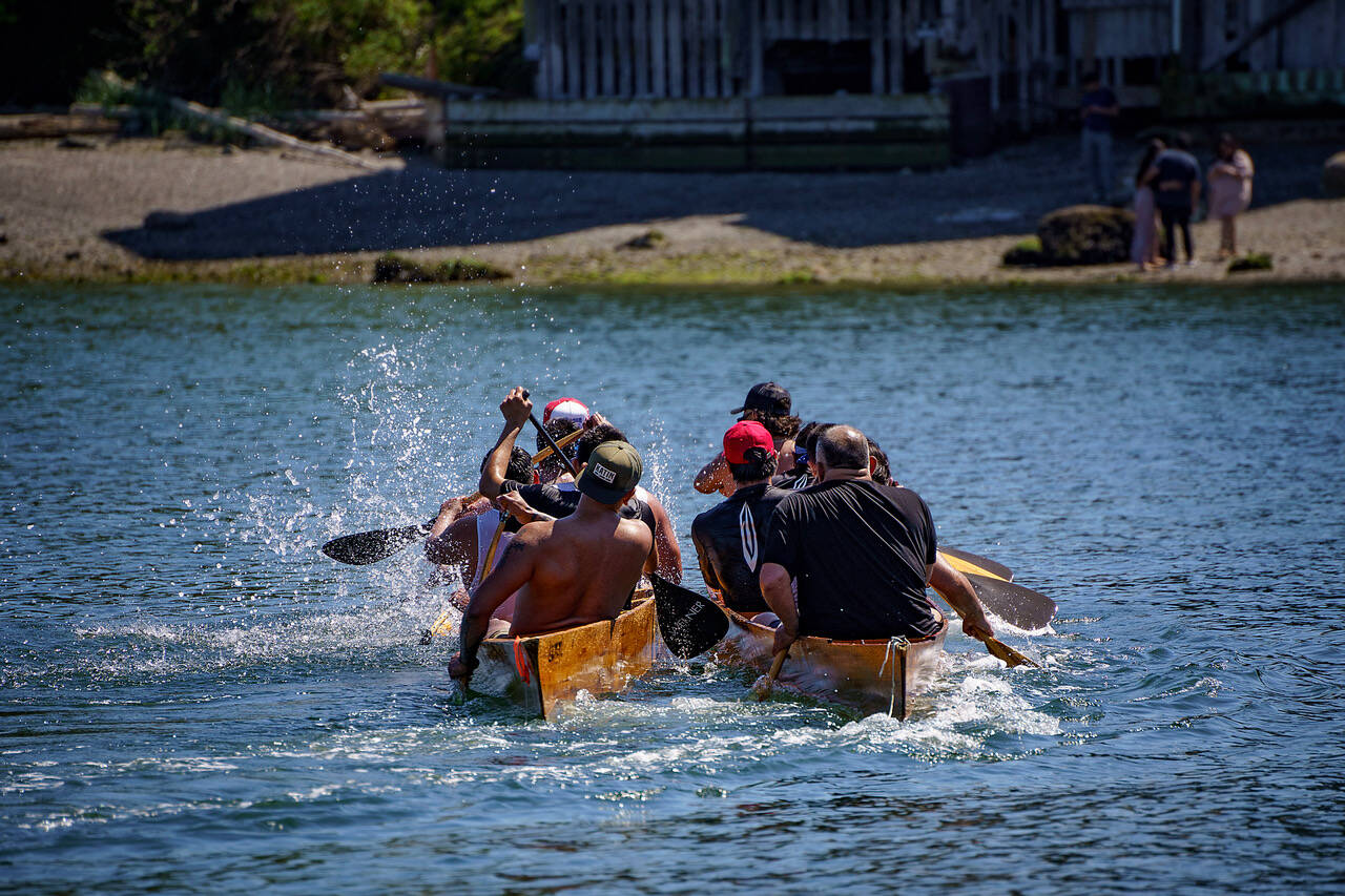 Photo by David Welton
Members of various Coast Salish tribes participate in canoe races at the Penn Cove Water Festival May 13. This year’s festival was the first since the beginning of the COVID-19 pandemic to hold the traditional canoe races.