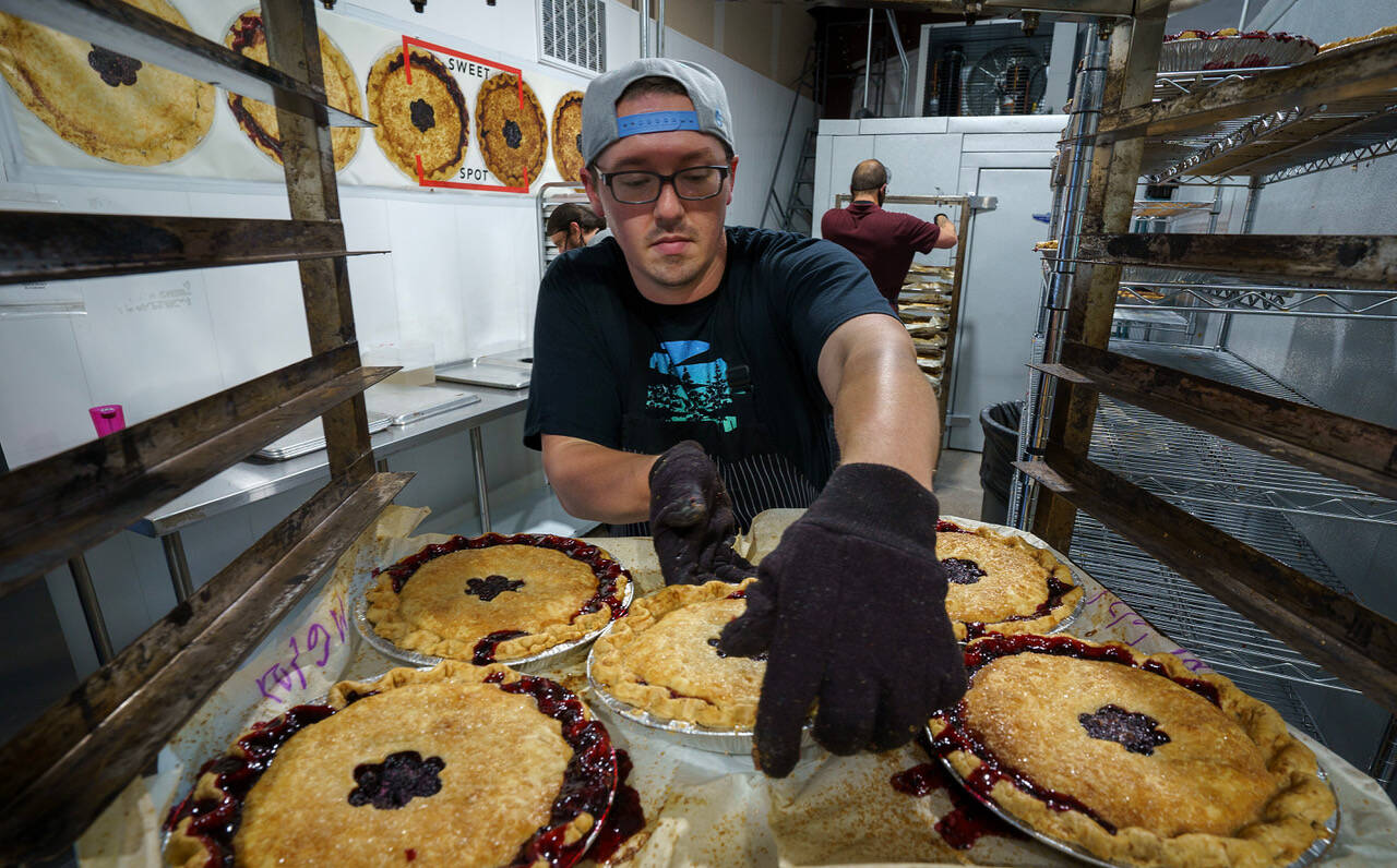 Clint Luetkehans transfers freshly baked pies to a rack that will be wheeled into the cooling room of the Whidbey Pies production facility. (Photo by David Welton)
