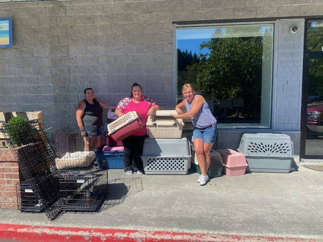 Photo provided
Debbie Wilkie, right, collects crates with Critters and Co. Pet Center and Rescue employees Elizabeth Justus and Mary Brown.