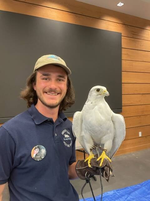 Photo submitted
Joseph Molotsky and a rescued gyrfalcon, started building a career as a rehabilitator when he was 13 years old as a volunteer and currently is the only paid staff. He is taking his knowledge and using it to train birds for use in conservation education.