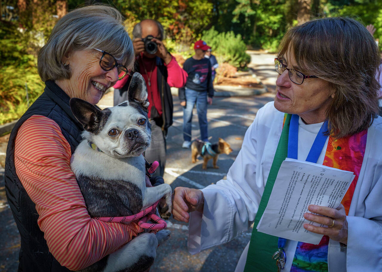 Rev. Jenny Cleveland of St. Augustine’s-in-the-Woods Episcopal Church blesses Isabella the dog, owned by Donna Wilson, during the annual Blessing of the Animals in celebration of St. Francis of Assisi, the patron saint of animals. (Photo by David Welton)