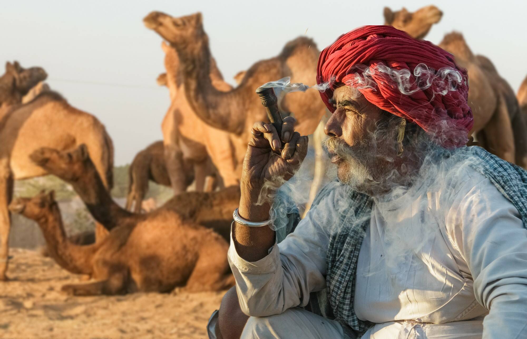 A camel trader at the Pushkar camel market in India. (Photo by Mike Holtby)