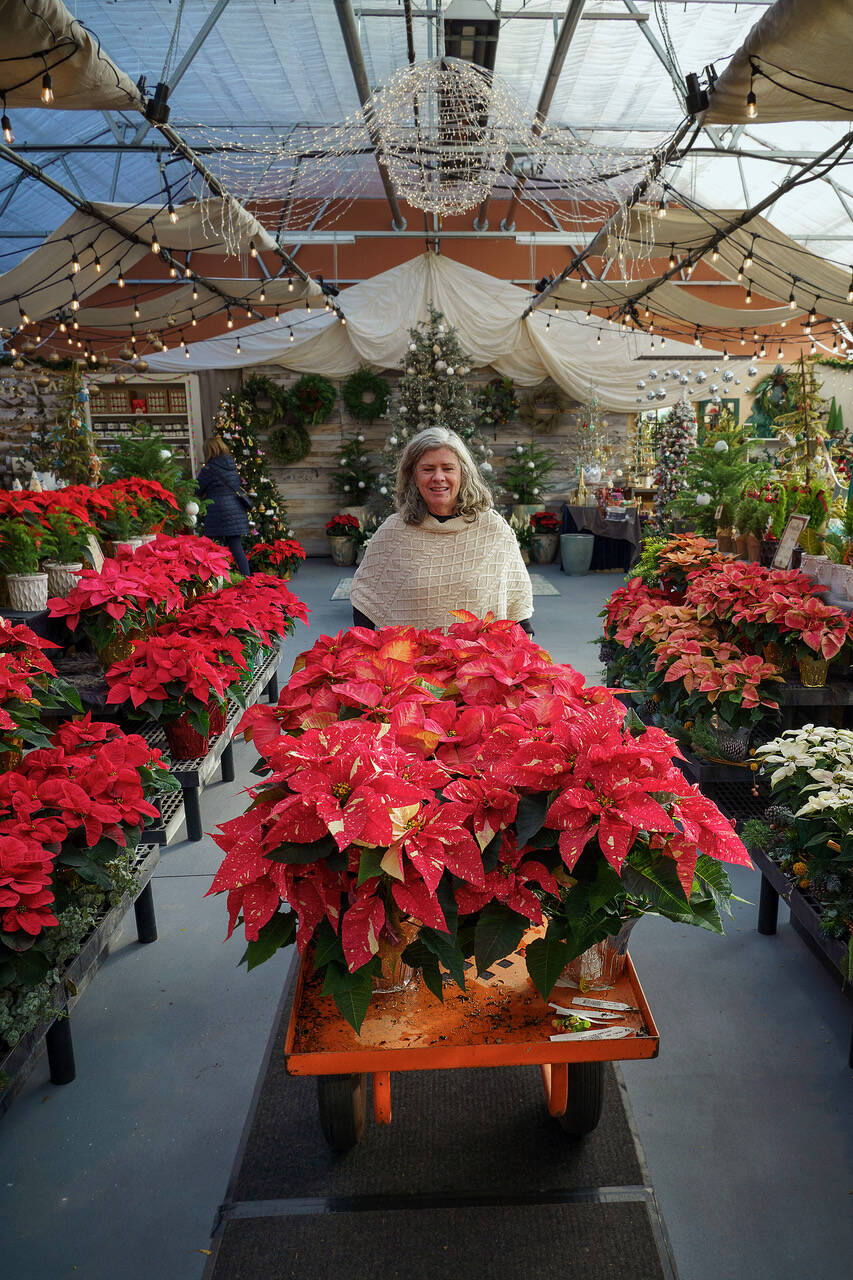 Maureen Murphy is the founder of Bayview Garden, which celebrated its 30th anniversary this year. The South Whidbey garden center is known for its annual Holiday House. (Photo by David Welton)