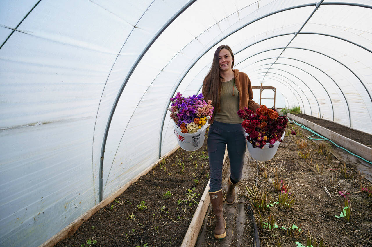 Emily Martin carries buckets of dried flowers into her hoop house. (Photo by David Welton)