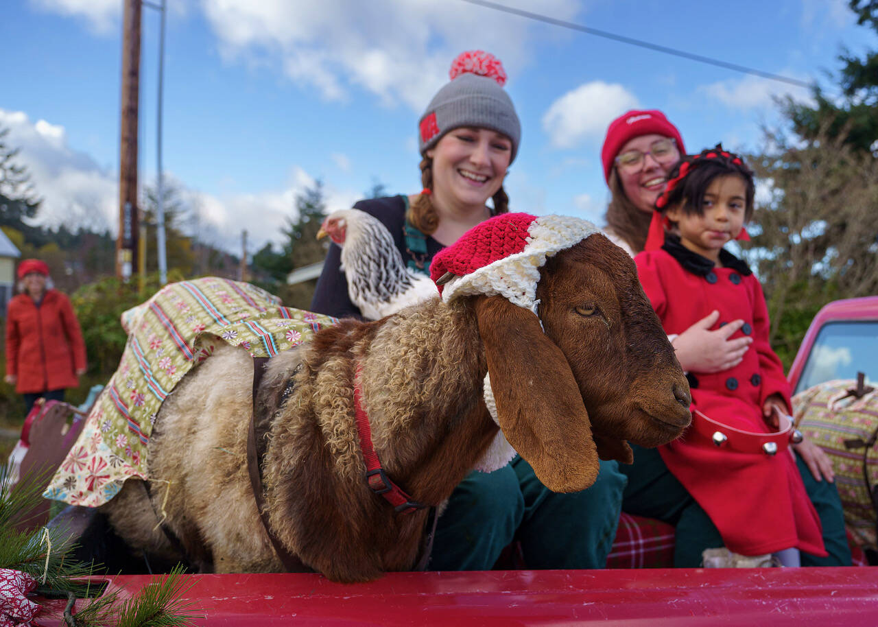 From left, Peter the goat, Stella the chicken, Sarah Santosa, Mackenzie Wright and Gwen Santosa of Ballydidean Farm Sanctuary participated in the Holly Jolly Parade for the first time and won a prize from parade organizers. (Photo by David Welton)