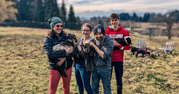 Photo provided
The Bell family adopted three rescue lambs from Ballydidean Farm Sanctuary this past spring. From left,  Emily with Poppet, Zetta with Widget, Shaun and Tyson with Otis.