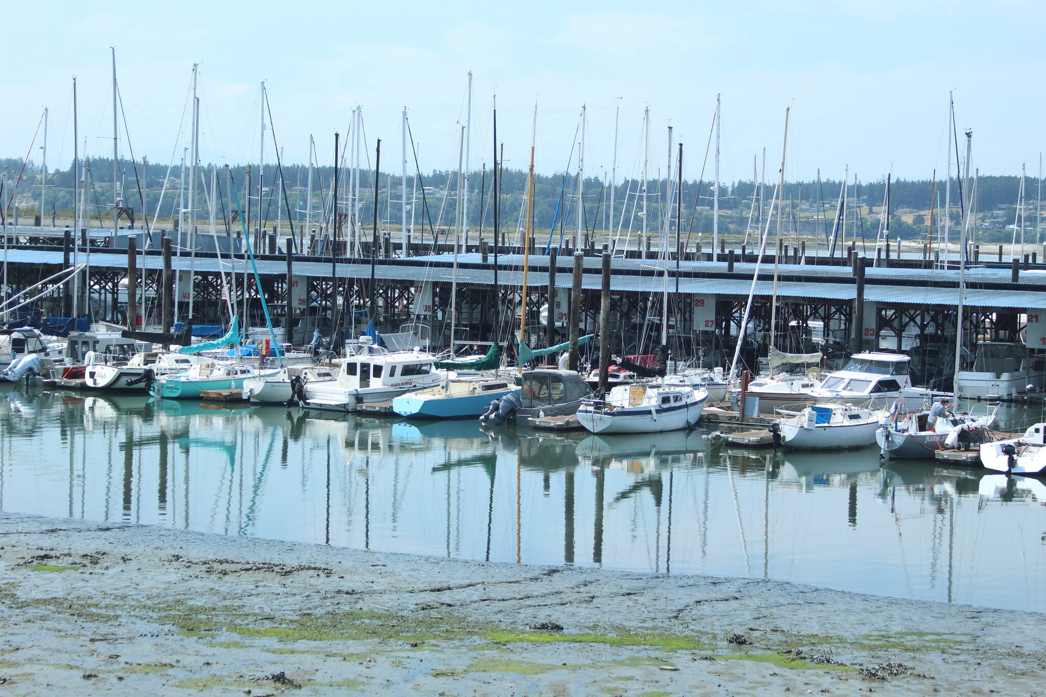 The Oak Harbor Marina. The county awarded Oak Harbor $1 million to dredge the marina and deepen its seafloor. (Archive photo)