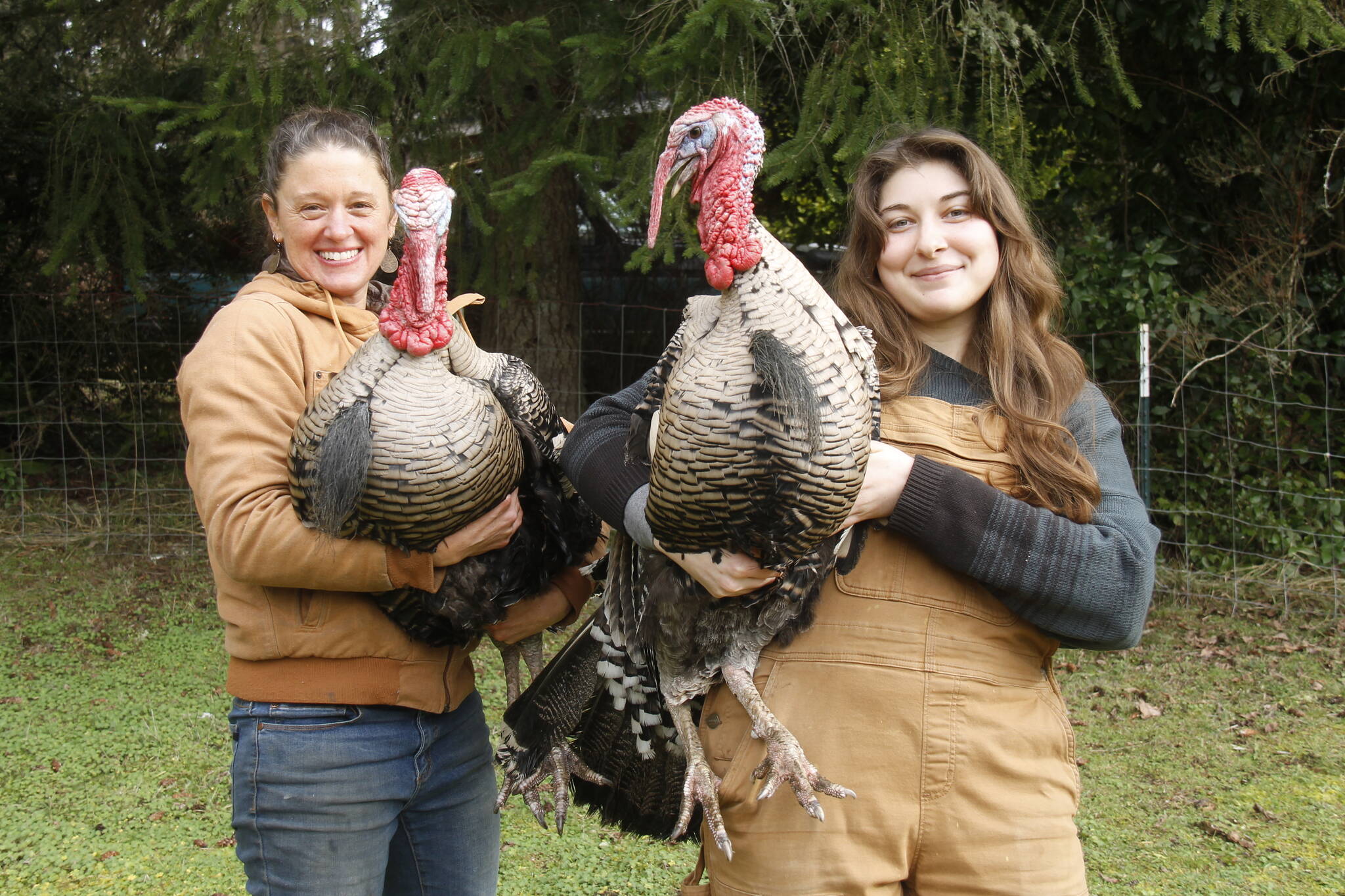 Jenny Goff, left, and Heather Talley are the farmers and creators behind “Thankful Harvest,” a children’s book about raising and harvesting turkeys. (Photo by Kira Erickson/South Whidbey Record)