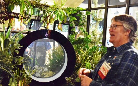 Clinton garden designer Deby Kohlwes chose a jellyfish theme for her exhibit “Dreamscapes by the Sea” that won three awards at the Northwestern Flower & Garden Show in downtown Seattle. Many Whidbey businesses contributed to the installation. Photo by Patricia Guthrie
