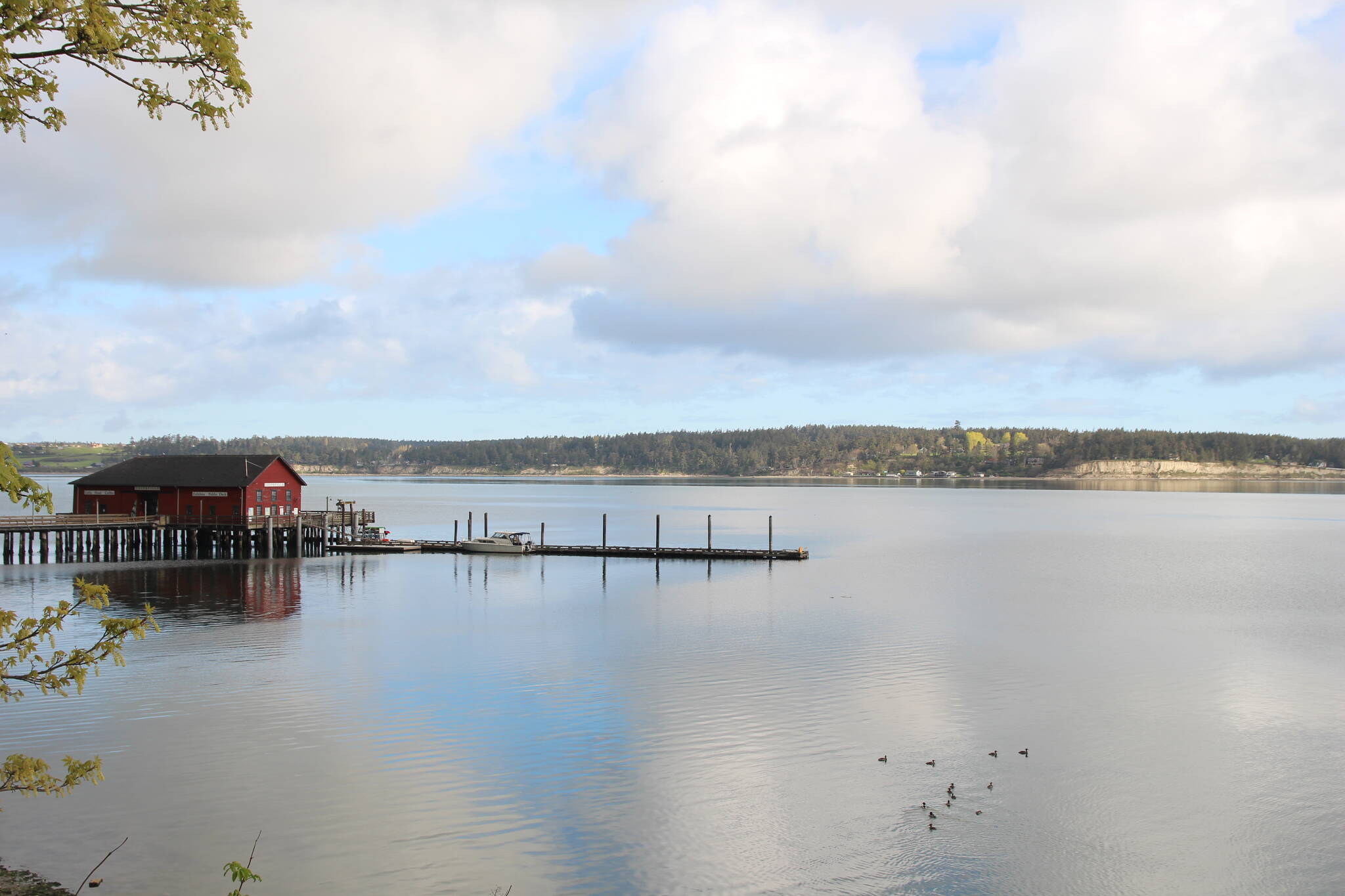The Town of Coupeville is looking at ways to reuse wastewater and reduce nitrogen levels in the water that flows into Penn Cove. (Photo by Luisa Loi)