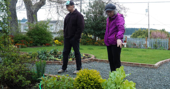 Gary (left) and Teresa Gillespie (right) display their garden, which will be in full bloom come June. (Photo by Sam Fletcher)