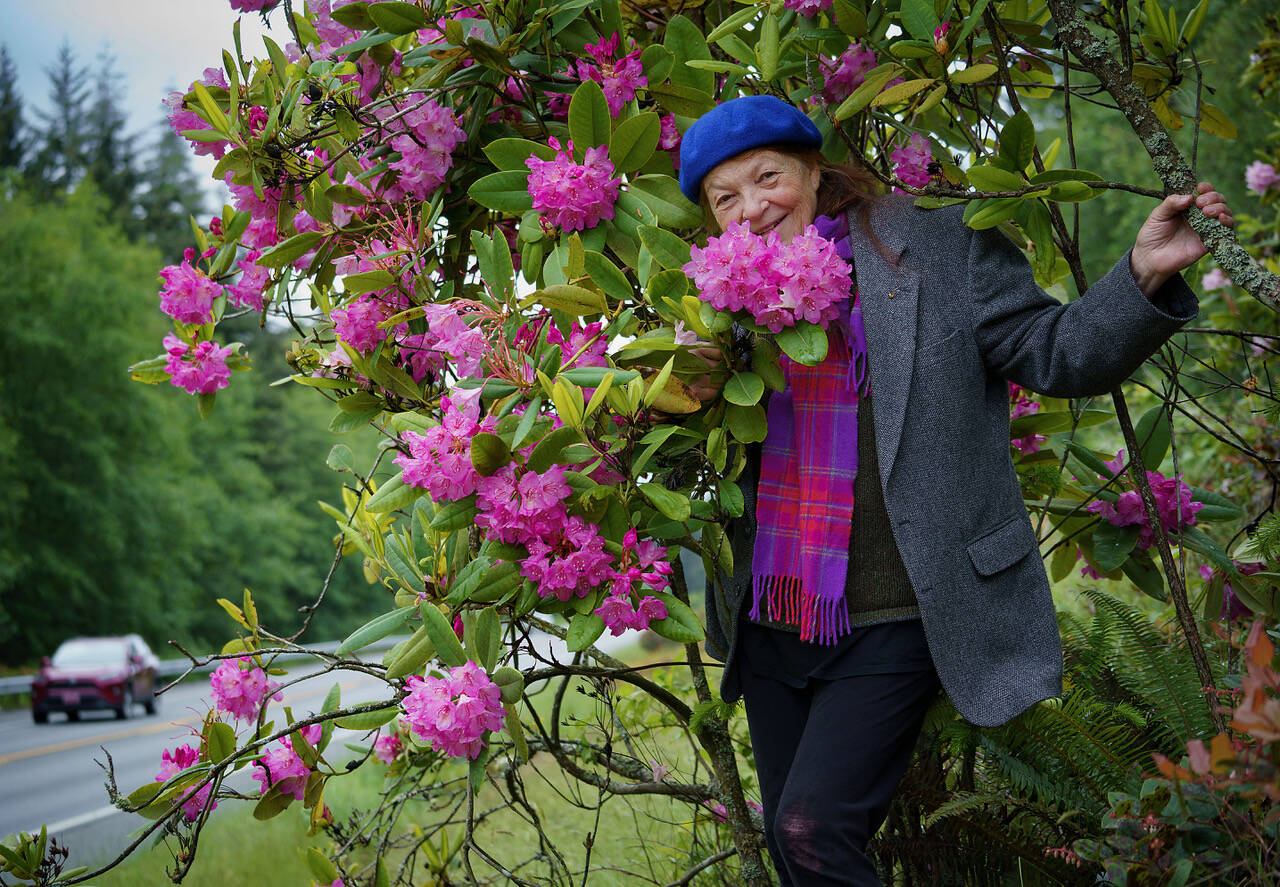 Greenbank resident Kristi ODonnell admires a patch of rhododendrons at the side of Highway 525 that she helped save nearly 20 years ago. (Photo by David Welton)