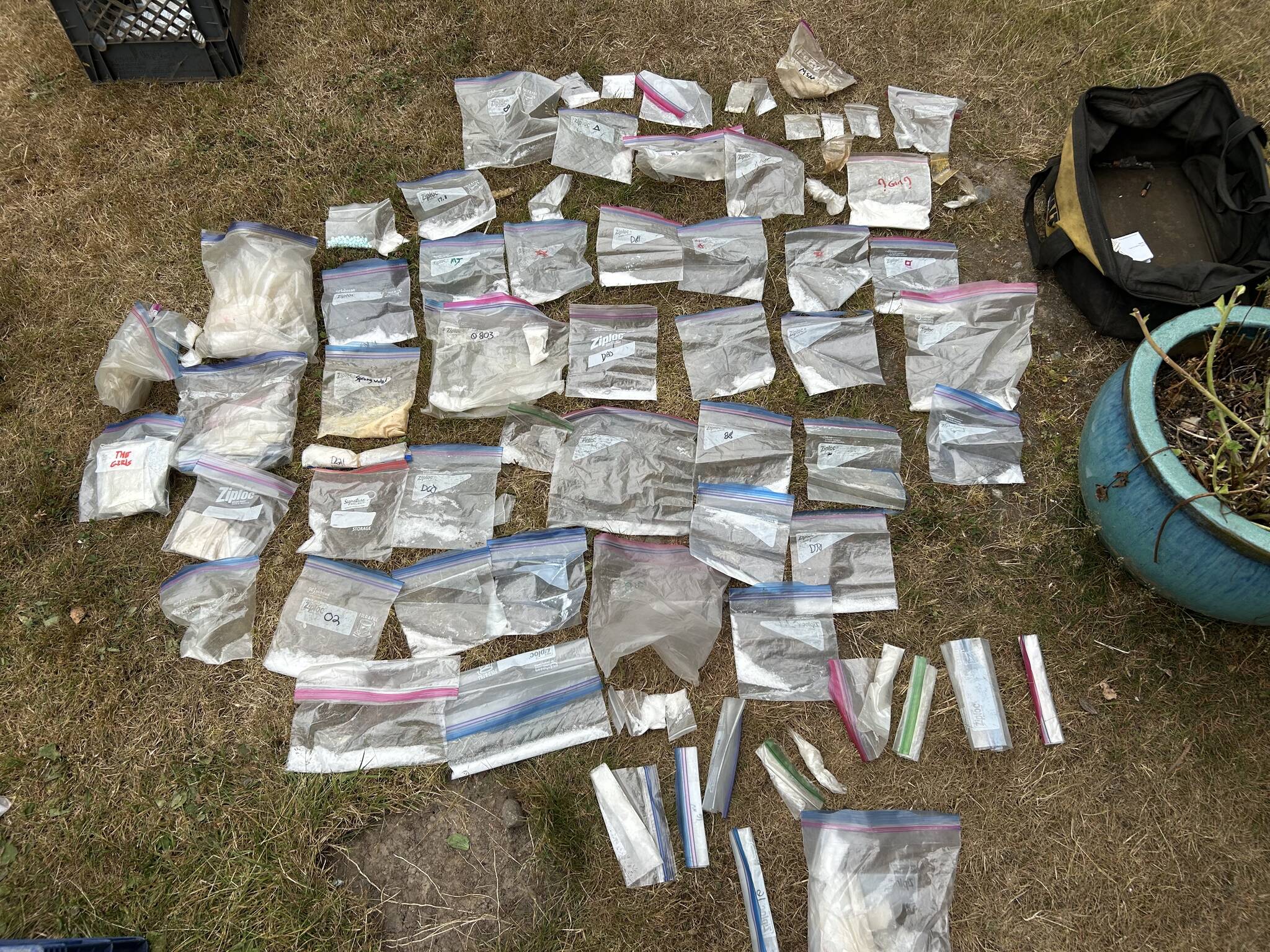 An image from the U.S. Justice Department shows some of the suspected drugs seized at a Greenbank home.