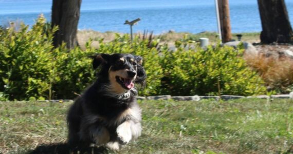 Photo by Allyson Ballard