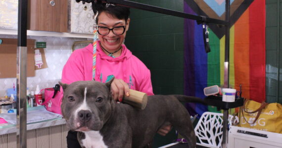 Photo by Allyson Ballard