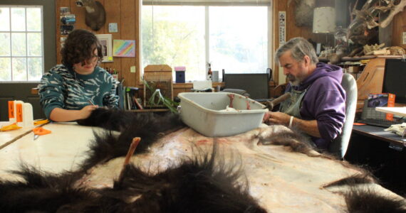 Photo by Allyson Ballard