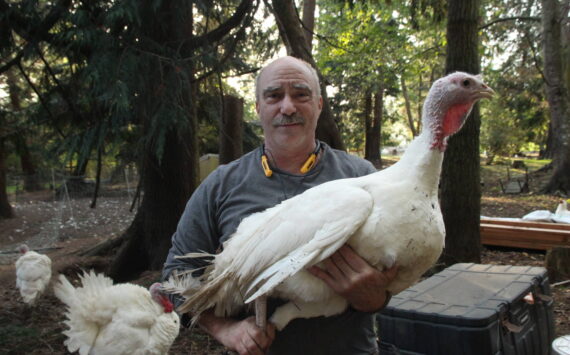 Photo by Marina Blatt