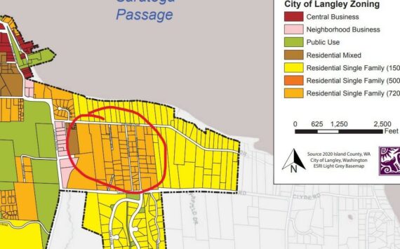 This Langley zoning map shows the area on the south side of Edgecliff Drive that the downzoning proposal would affect.